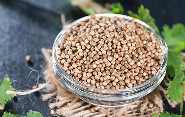 تصویر 2 از خرید و فروش تخم گشنیز ترد با شرایط فوق العاده